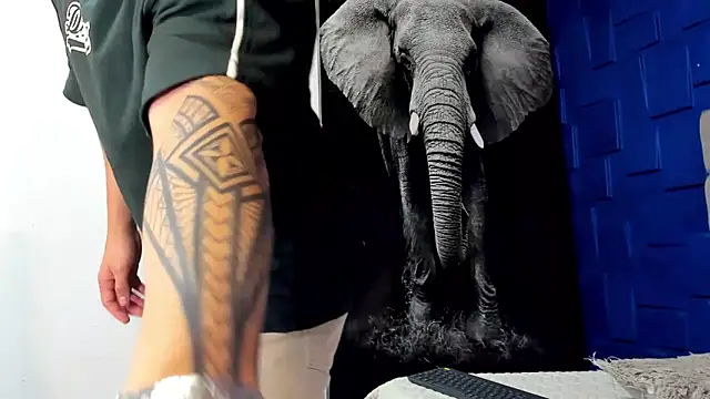 king falconer online show from November 3, 12:49 am