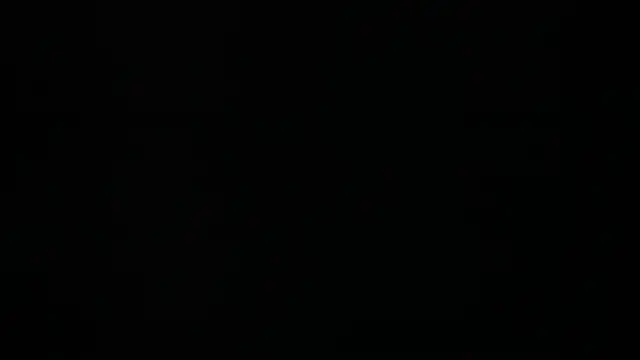 synop sis online show from September 24, 10:44 am