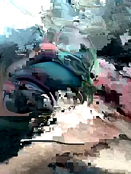 Snapshot of geraldoo007 chatting on October 28, 3:44 pm geraldoo007 online show from October 28, 3:44 pm