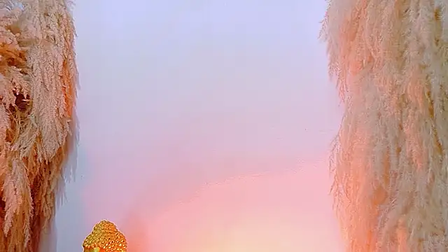 JulietaDavis online show from April 8, 2:02 am