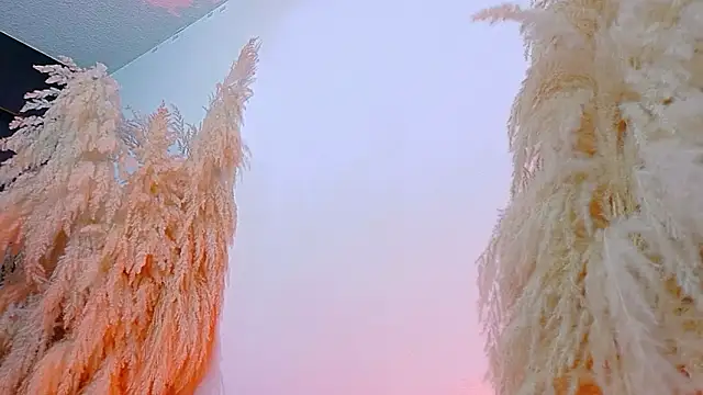 JulietaDavis online show from February 19, 8:11 am