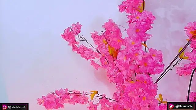 Snapshot of JulietaDavis chatting on May 27, 9:38 am JulietaDavis online show from May 27, 9:38 am