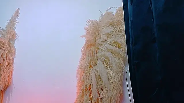 JulietaDavis online show from February 22, 9:33 am