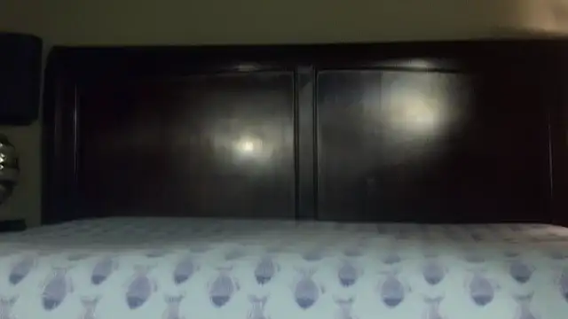 Hornylouisewil online show from November 21, 12:42 am