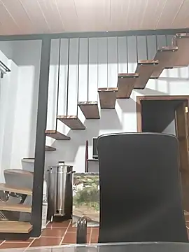 Hiroshi Shen online show from October 26, 10:37 am