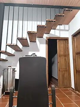 Hiroshi Shen online show from November 16, 10:42 am