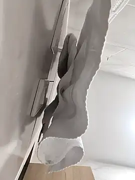 Hiroshi Shen online show from November 27, 11:21 am