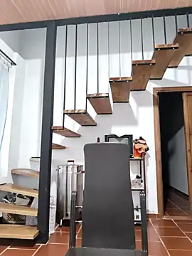 Hiroshi Shen online show from November 17, 11:25 am