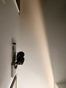 Hiroshi Shen online show from December 18, 11:19 pm