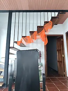 Hiroshi Shen online show from November 2, 11:59 am