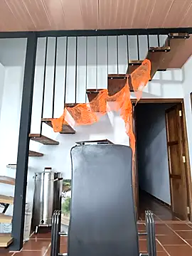 Hiroshi Shen online show from November 5, 11:24 am