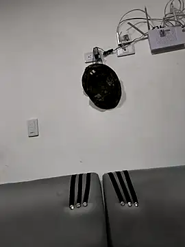 Hiroshi Shen online show from November 26, 10:48 am