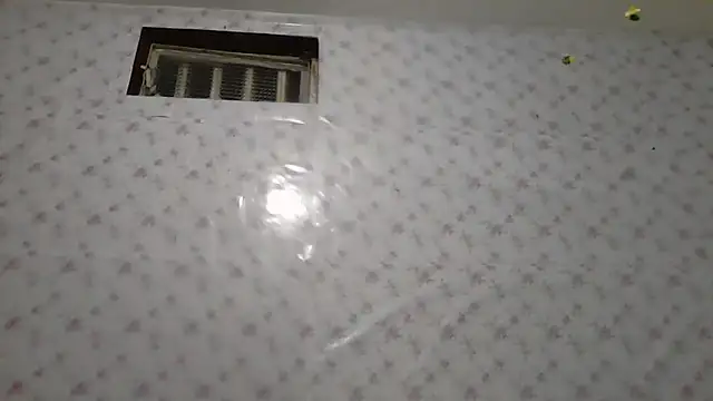 Roselingalvis13 online show from March 3, 2:51 am