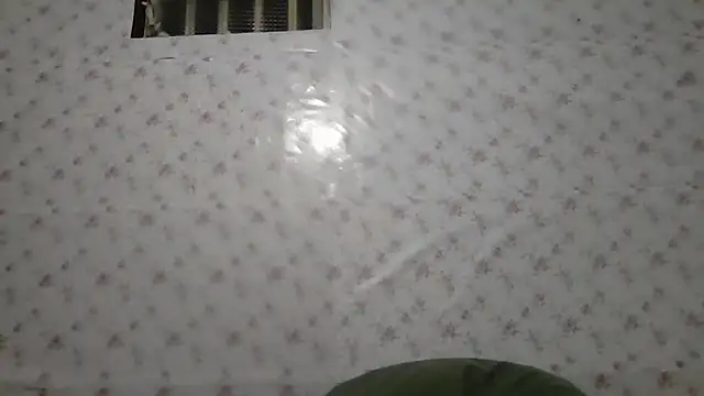 Roselingalvis13 online show from March 4, 2:52 am