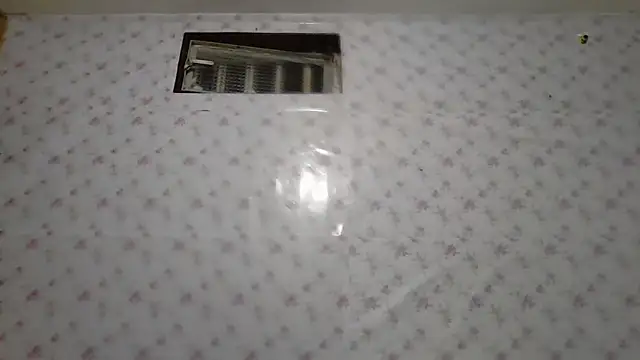 Roselingalvis13 online show from February 3, 2:53 am