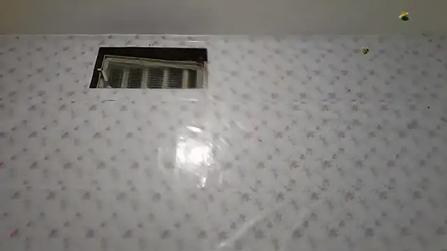 Roselingalvis13 online show from February 5, 3:13 am