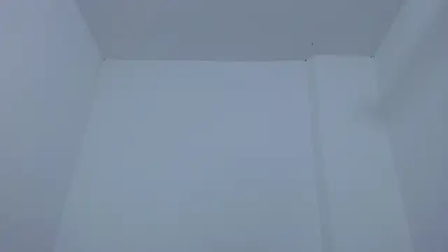 carolina zabala 19 online show from December 17, 7:19 pm