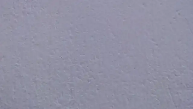 carolina zabala 19 online show from April 4, 8:48 pm