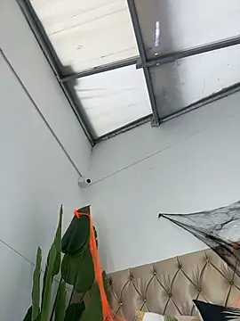 Snapshot of TweetiePieXXX chatting on October 31, 10:05 pm TweetiePieXXX online show from October 31, 10:05 pm