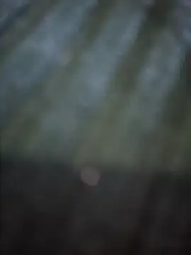 VesperVelvet online show from March 28, 3:51 am