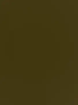 whitebullock online show from March 19, 5:13 pm