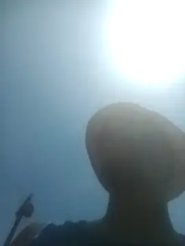 KingBonga online show from February 10, 10:47 am