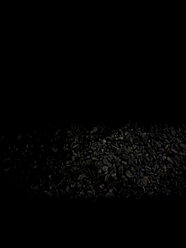 Snapshot of steelwoodVids chatting on November 19, 1:49 am steelwoodVids online show from November 19, 1:49 am