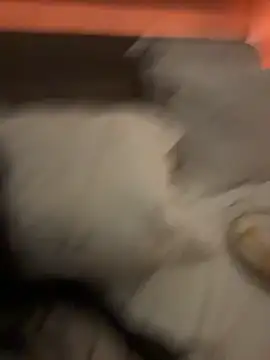 Ofcourseoneday online show from March 8, 1:36 pm