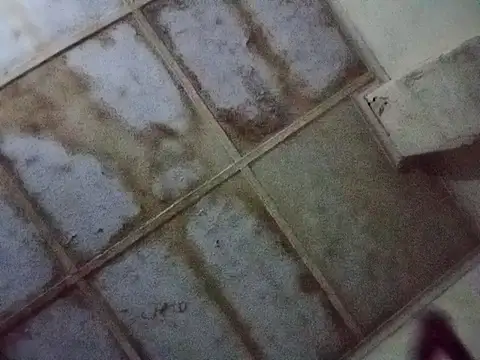 RFeltomWhitJ online show from November 17, 1:09 am