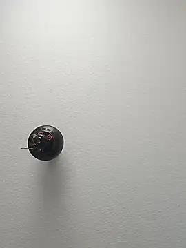 Kaalum561 online show from November 26, 1:00 pm