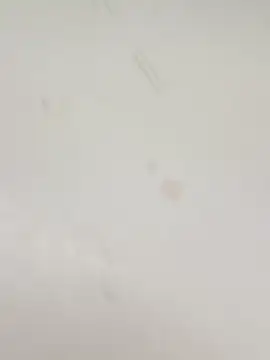 guridosul051 online show from January 12, 2:35 pm