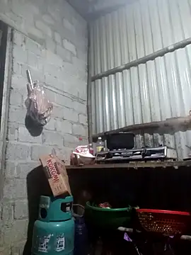 jienrrr online show from November 11, 12:00 pm