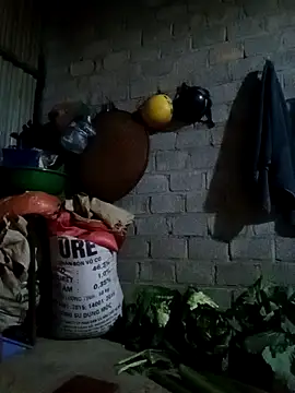 jienrrr online show from February 24, 11:33 am