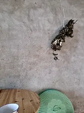 Snapshot of yoowwmr chatting on November 23, 12:53 am yoowwmr online show from November 23, 12:53 am