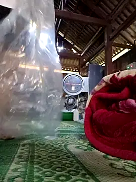 cincin 677 online show from September 20, 3:33 am