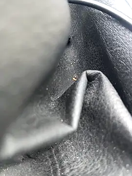 legaros online show from April 3, 2:23 pm