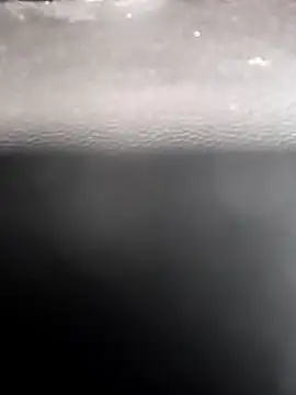 legaros online show from February 10, 9:30 am