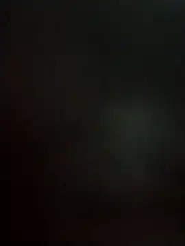 legaros online show from October 29, 3:55 pm