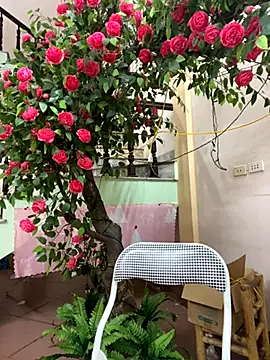 Bollozzy 89 online show from September 29, 4:23 pm