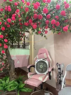 Bollozzy 89 online show from October 6, 4:13 am