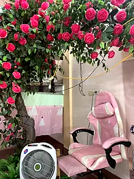 Bollozzy 89 online show from October 1, 5:45 am