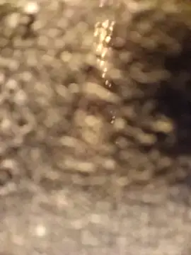 Venessa online show from December 5, 1:16 am