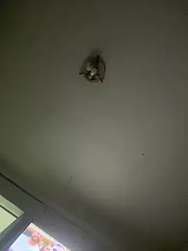 Isabelaa  online show from March 28, 3:29 am