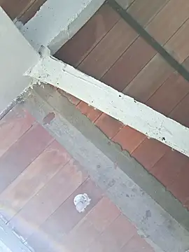 Cataleya ja online show from February 24, 12:39 pm