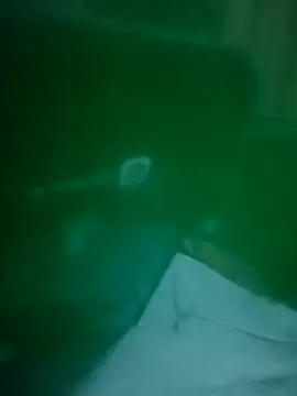 daisylouis online show from April 3, 12:11 pm