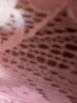 Luna 20x online show from March 31, 6:43 pm