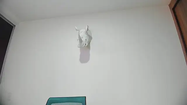 Snapshot of Dagoti chatting on January 31, 8:07 pm Dagoti online show from January 31, 8:07 pm