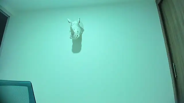 Snapshot of Dagoti chatting on February 3, 1:27 am Dagoti online show from February 3, 1:27 am