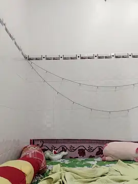 Snapshot of Mint299 chatting on November 3, 5:23 am Mint299 online show from November 3, 5:23 am