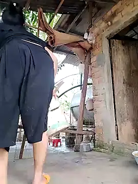 BigBoobs186 online show from January 11, 12:28 am